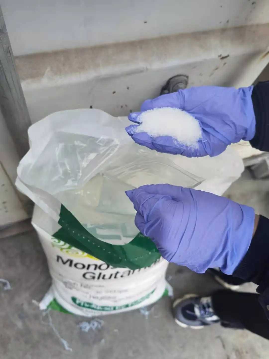 China Hot Sale Monosodium Glutamate 99% Msg 20-120 Mesh Powder Msg