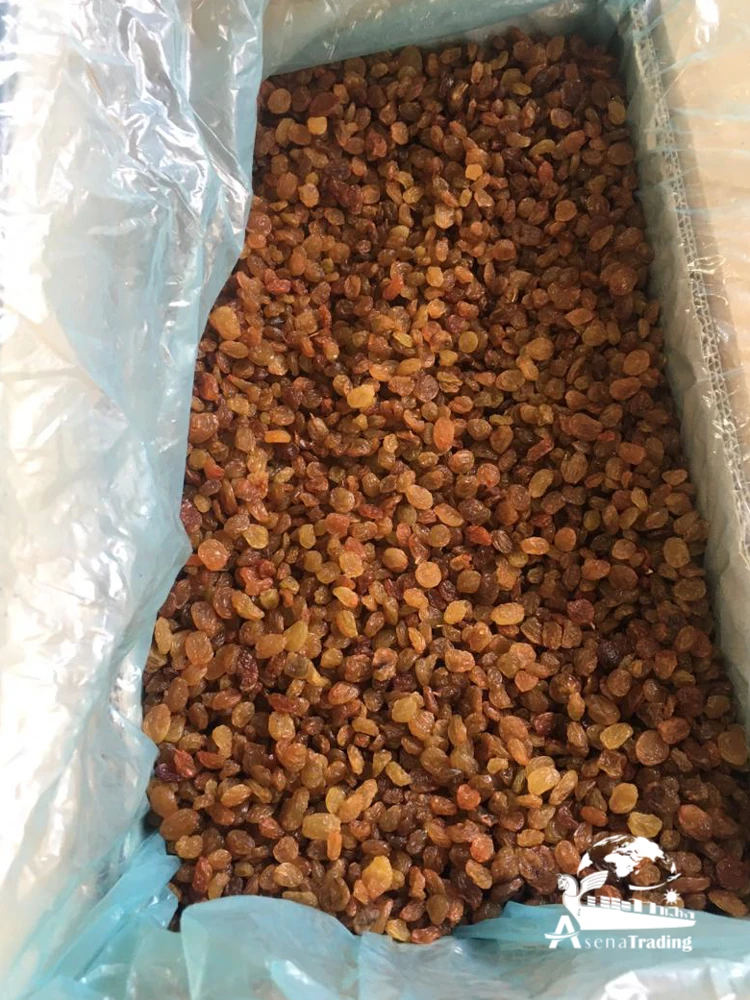 Top Quality raisin Great quality natural dark red sultana currant red green black gold raisin dried raisin