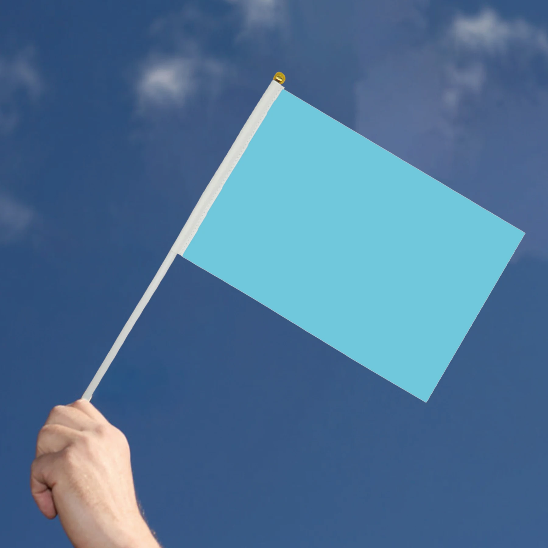 Custom Hand Waving Stick Flags with wood poles