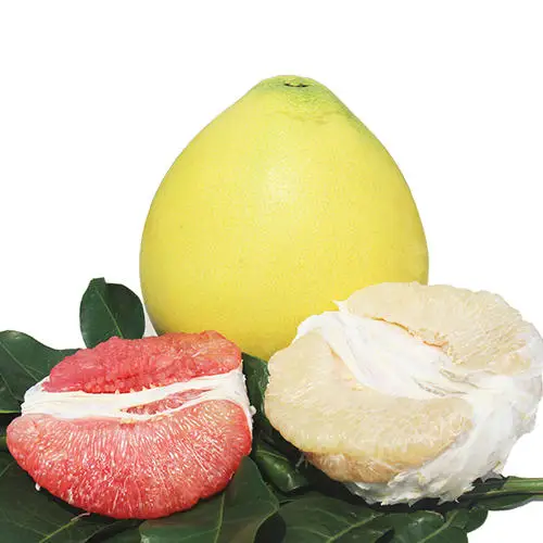 Fresh export pomelo fruit/good honey pomelo/competitive pomelo price