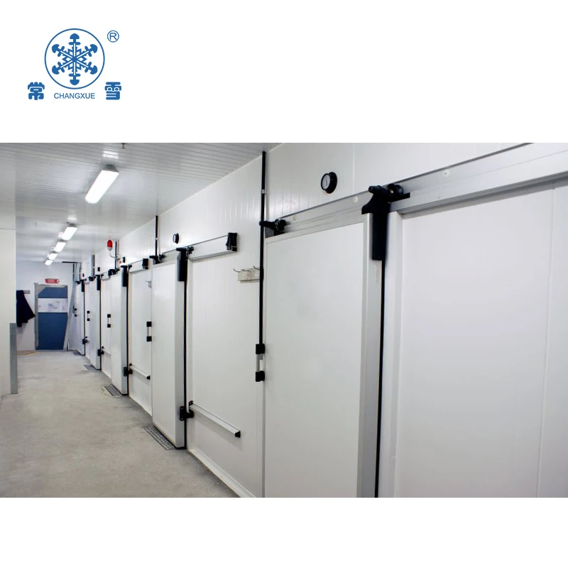 tunnel blast freezer for fish