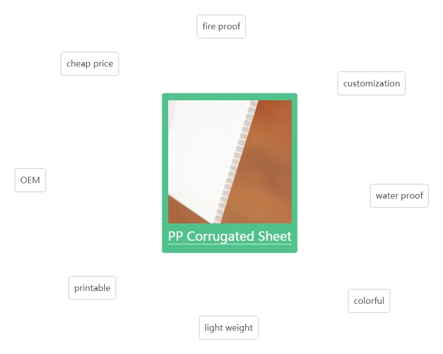 Pp Corrugated Sheet