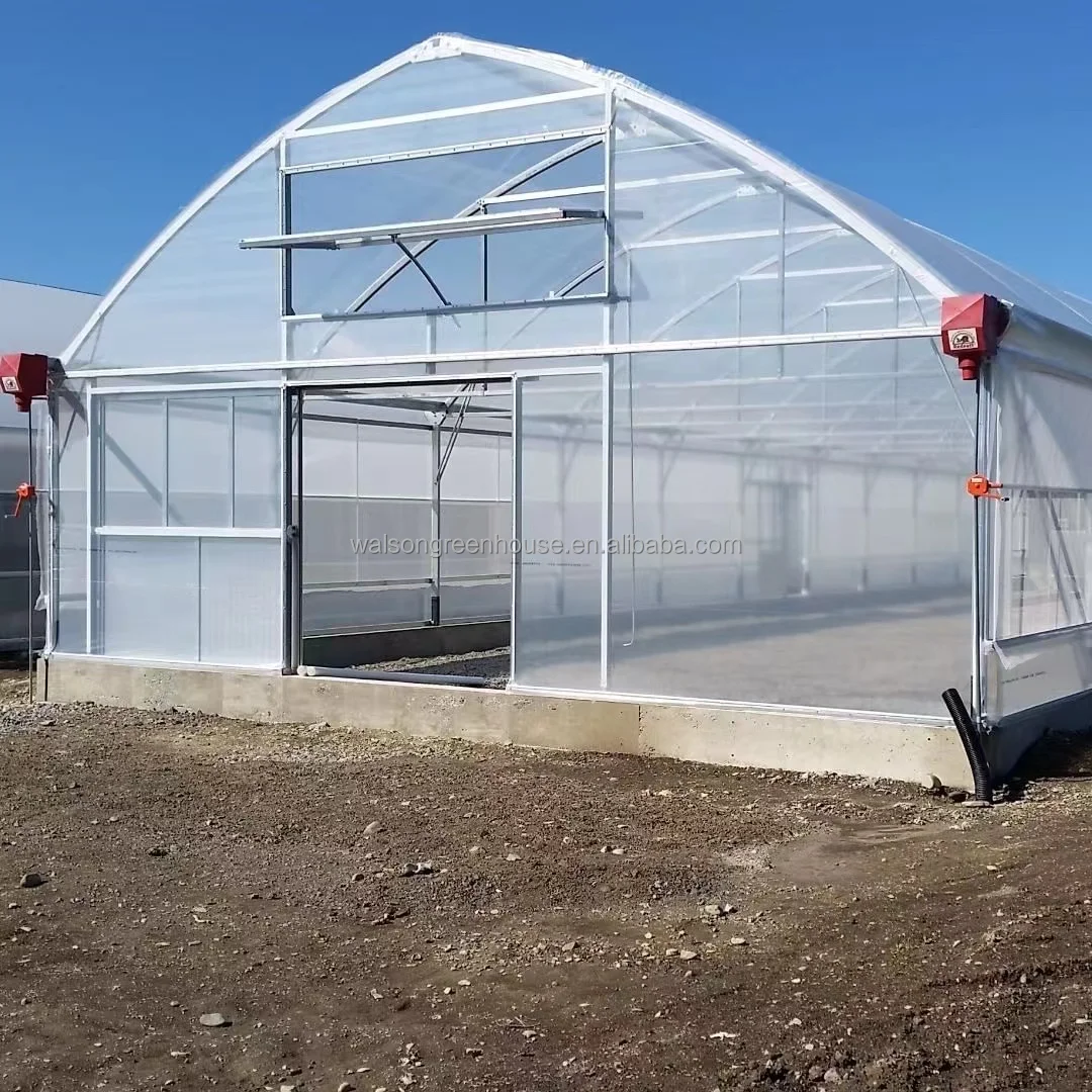 Single-span agricultural plastic products greenhouse manufacturers film tunnel Single-span greenhouse