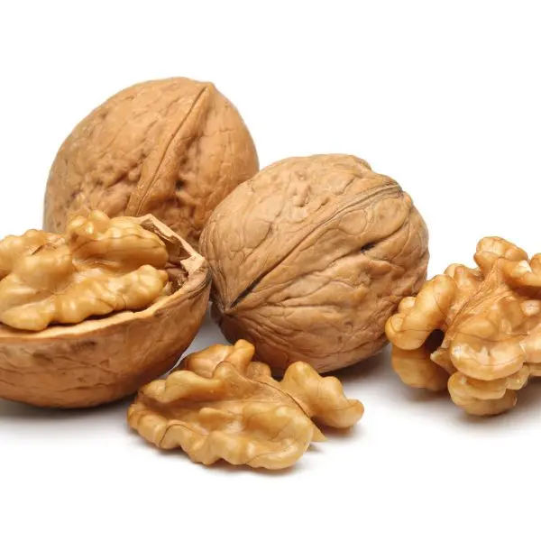 
Wholesale price walnuts with factory prices 