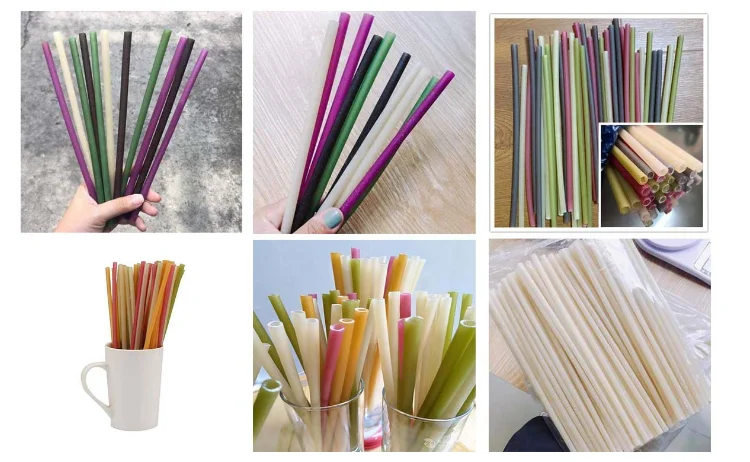 Automatic Wheat Rice Tapioca Flour Instant Pasta Biodegradable Drinking Straw Making Machine Price