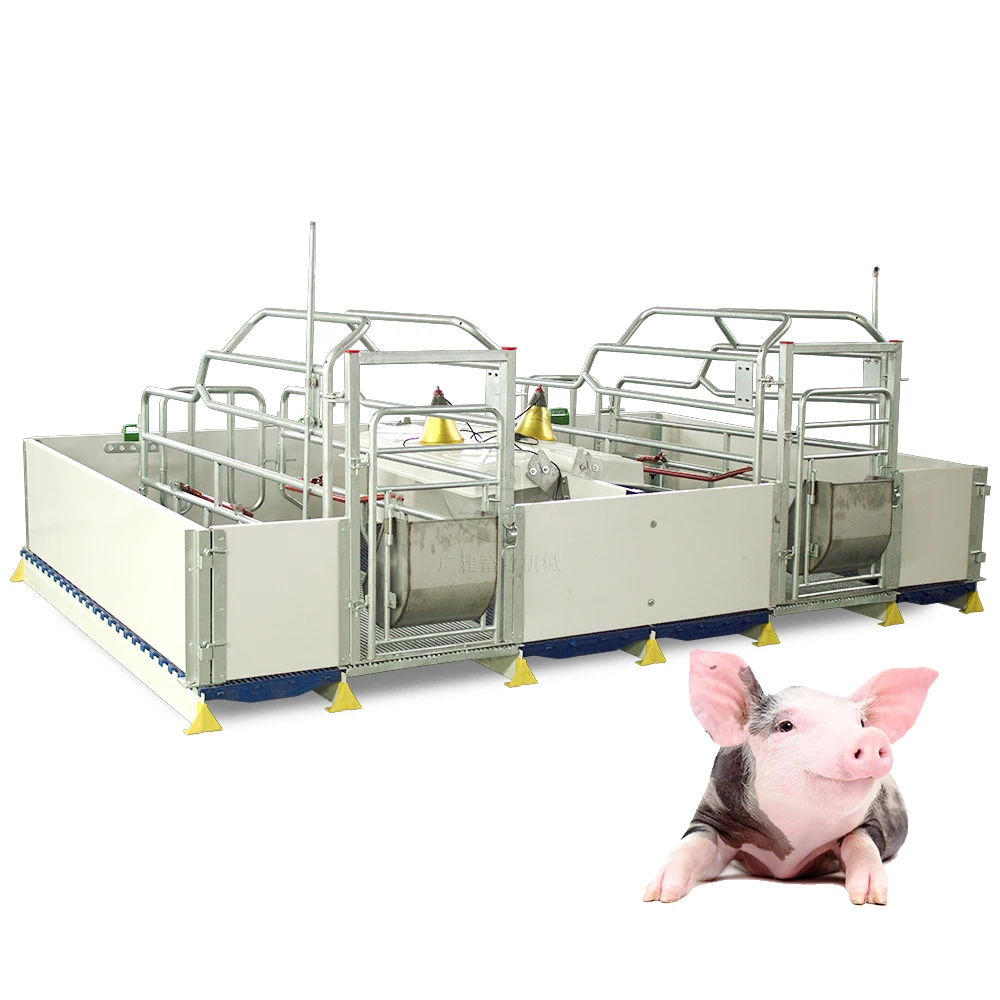 2021 оборудование для свиней, гребли, высокое качество и простота установки, клетка для свиней, кормушки для животных, гребной клетка