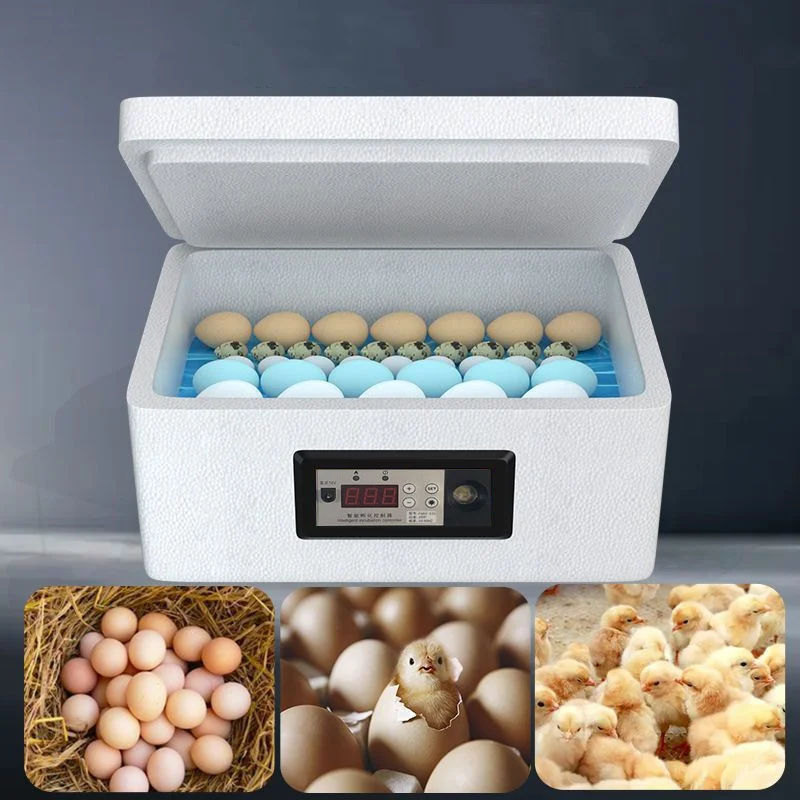 Small safe automatic incubator duck goose egg incubator manufacturer