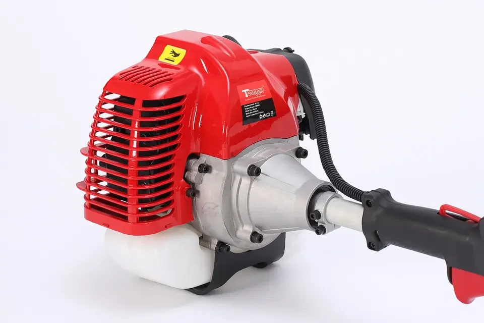 Long Ceach 2 Stroke Gasoline 52CC Single Cylinder Pole Chain Saw Pruner 10inch Pole Chainsaw