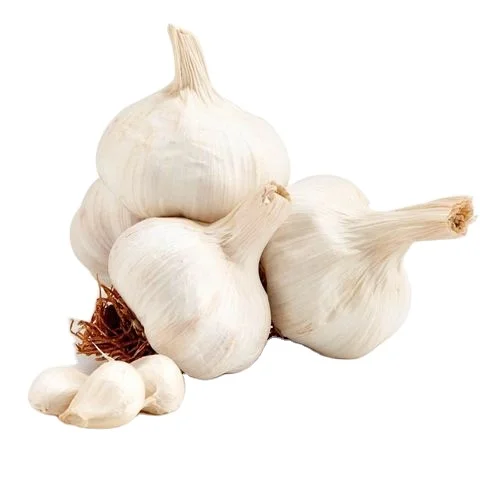New Crop fresh pure white garlic for wholesale / fresh garlic vegetables in 20kg mesh bags