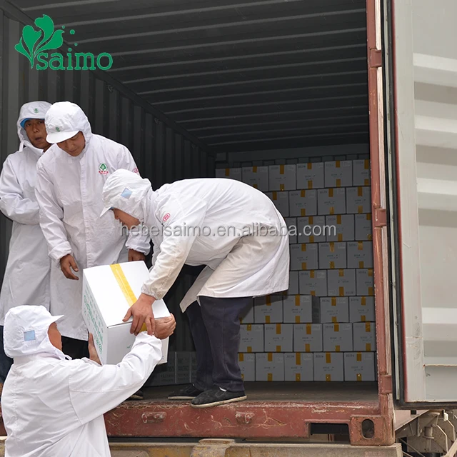 walnut kernel importer.jpg