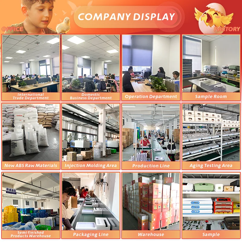 HHD Solar Full Automatic Chicken Egg Incubator And Hatchery Motor Turner Water Feed for 28 30 Eggs Capacity In Cameroon Kenya