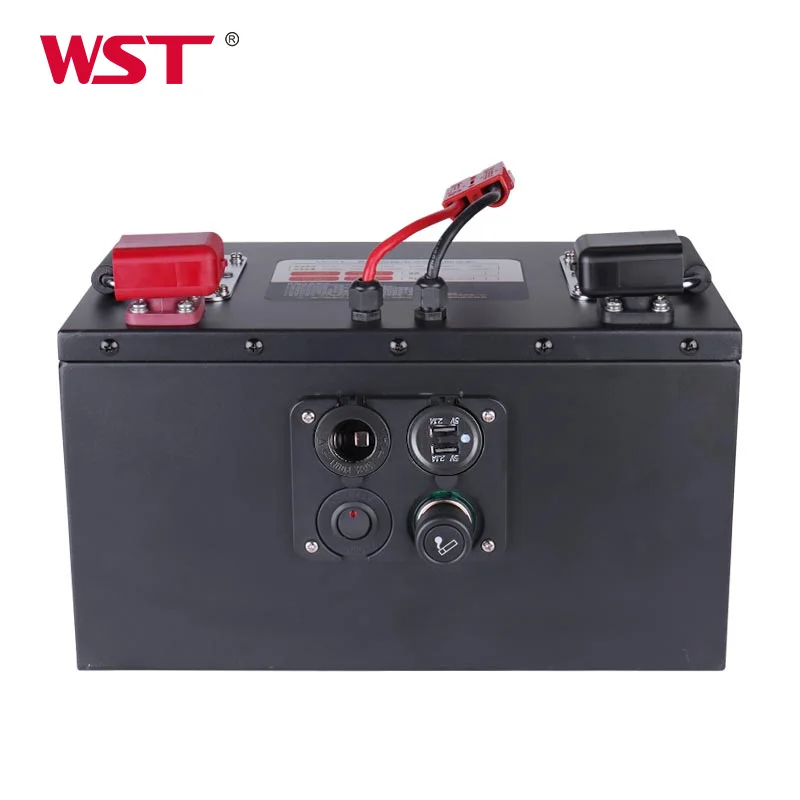 WST Lifepo4 BMS Lithium Battery Pack 12v 24V 50ah Lifepo4 Lithium Ion Battery Energy Storage Power Station Battery