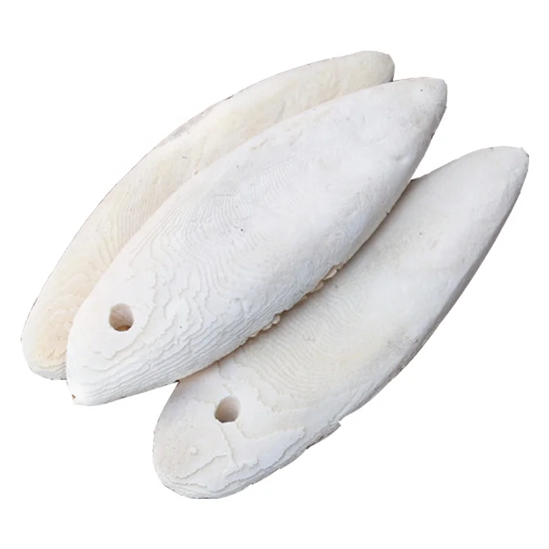 Dried Cuttlebone For Birds High Quality Cuttlefish Bone For Animal Feed Natural White Cuttlefish Bone