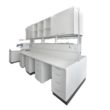 Factory Direct Customized Steel Laboratory Bench Wet C-Frame Design for School and Hospital Science Laboratories