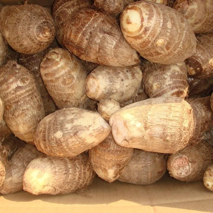 
supply chinese taro 2020 in lower price 