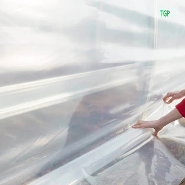 Lamina de plastico верхняя Зеленая упаковка Однопролетная Солнечная сельскохозяйственная тепличная пленка в Израиле