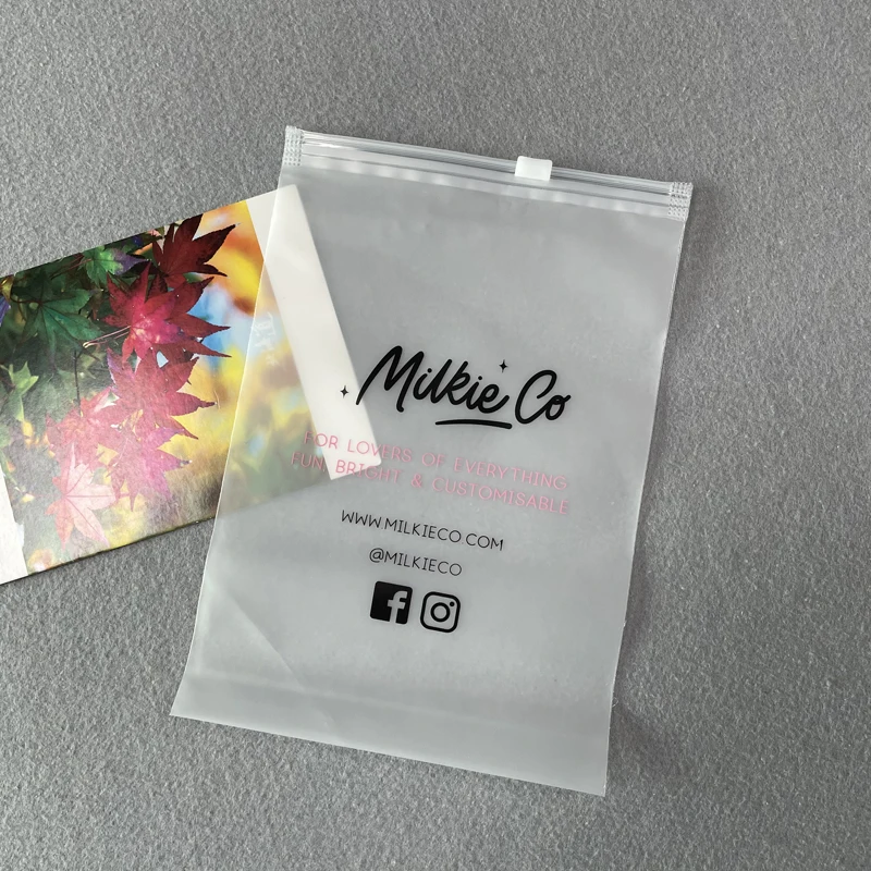 Custom Logo Packaging Plastic Bags For Garment Accessories , Clothing Bags Zip Lock Frosted Bag Clothes Packaged