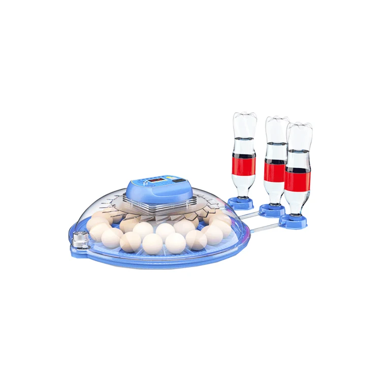 Brand New Eggs Manufacturer Plastic Incubator Egg Tray With High Quality (1600711253320)