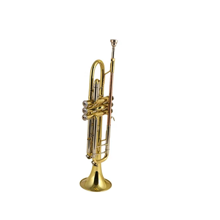 
Brasswind Instruments First choice cheap and high quality Yellow Brass Trumpet in china 