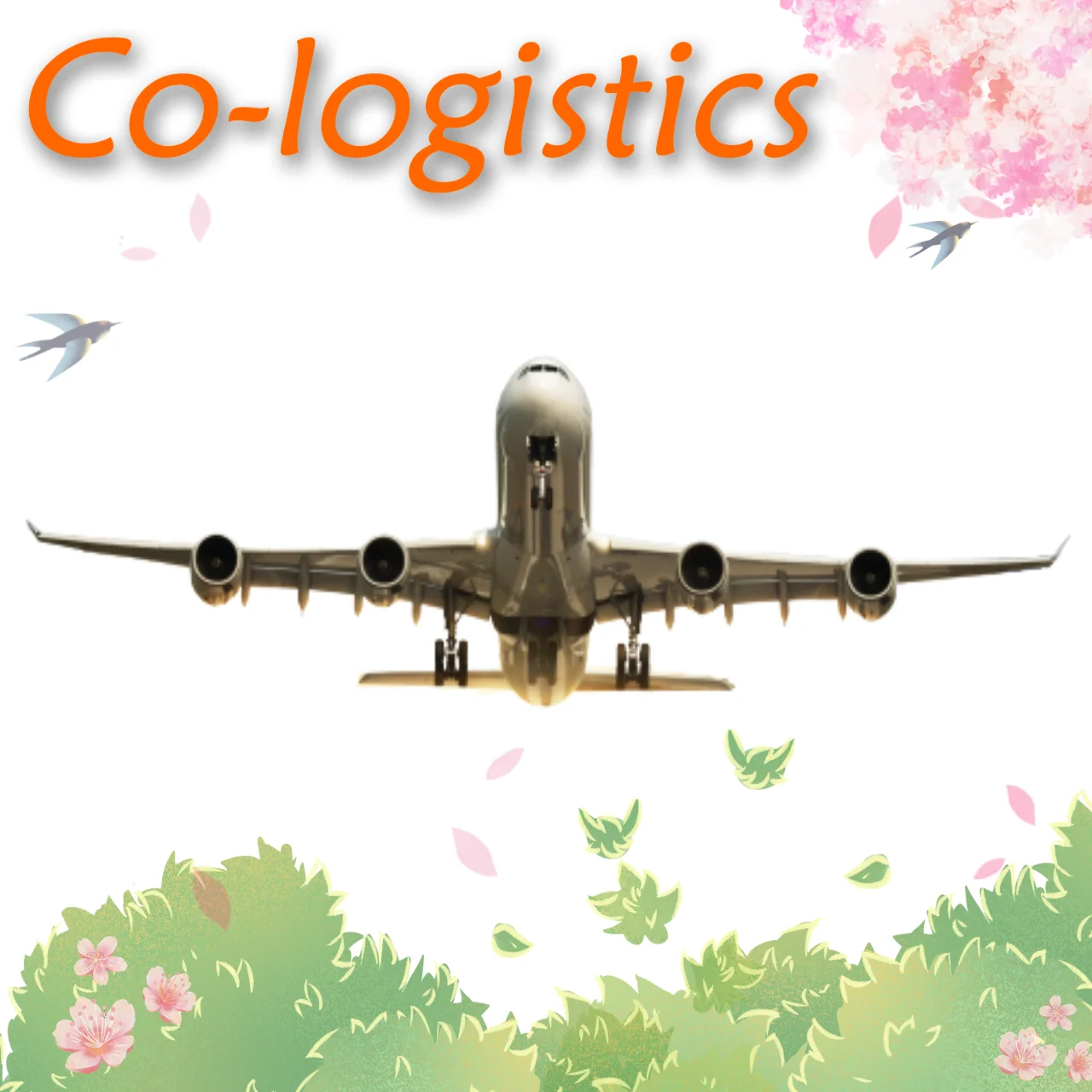 More than 15years international professional air  freight forwarder door to door DDP air freight shipping rate from China to USA