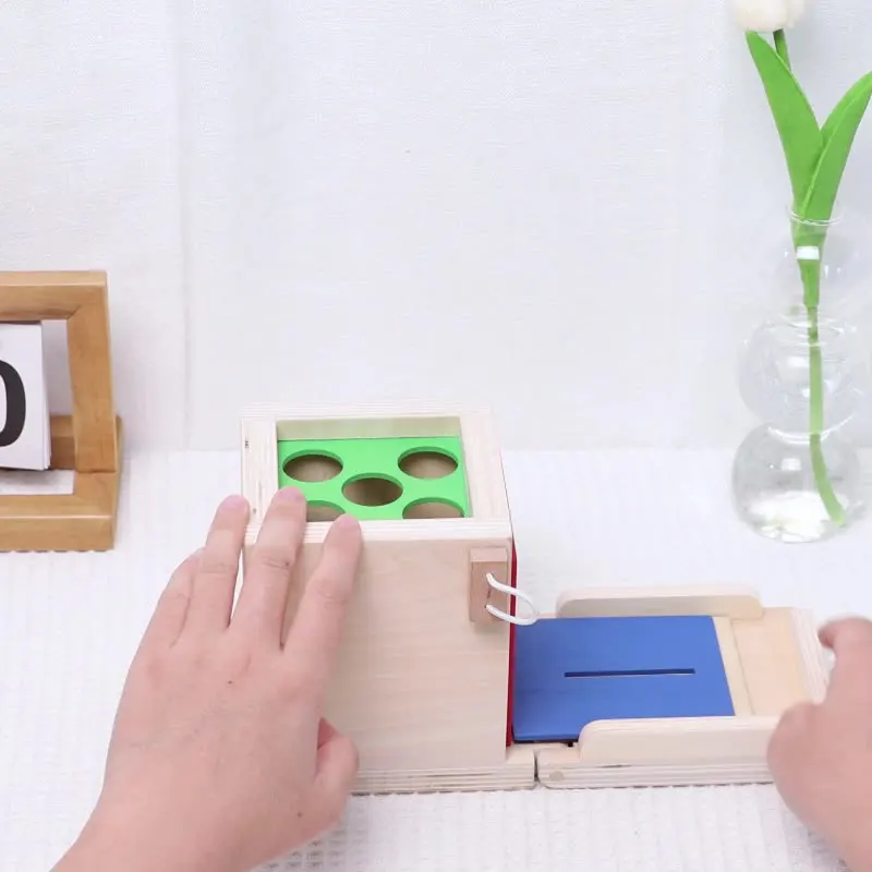 4-in-1 Object Permanence Box Coin Box Carrot Harvest Color Match Sticks Drop Game Wooden Montessori Motor Skill Toys for Toddler