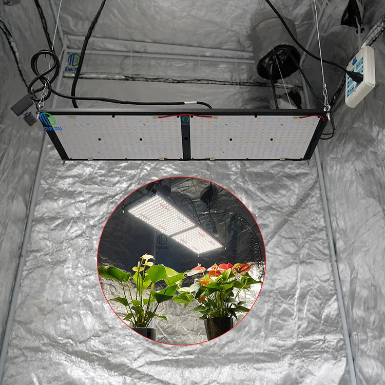 Meijiu Qb 240 расти светодиодный УФ ИК FOLUX-X240H2 lm301H 240W V3 3500 K двойной чип, LED-лампа для сельского хозяйства