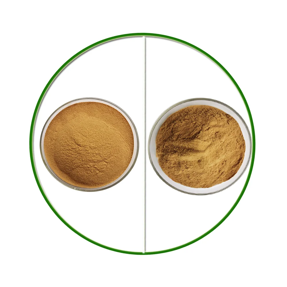 Best price pure damiana leaf extract Stimulate male hormones damiana extract