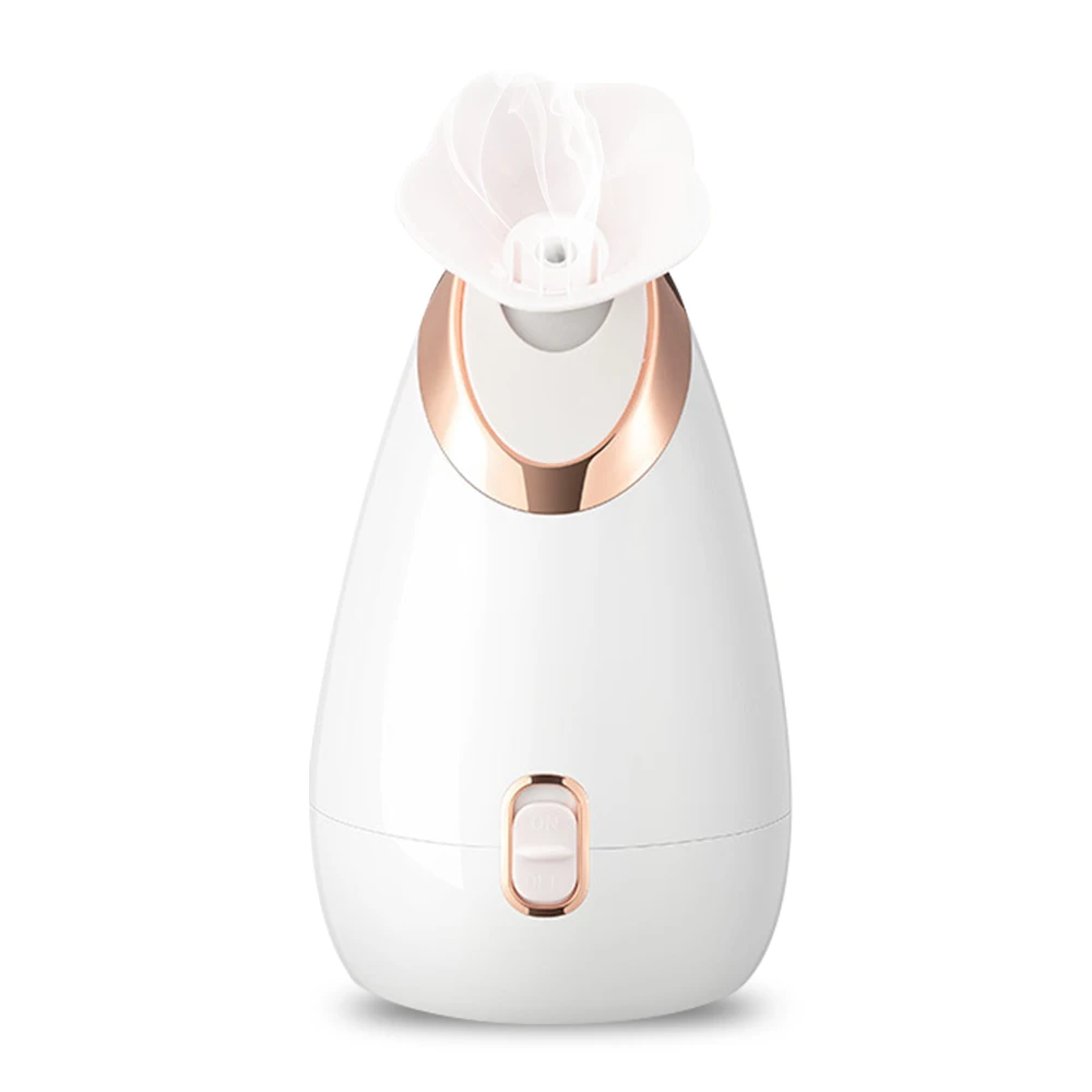 CE Sprayer Face Humidifier Professional High Quality Home Use Cheap Nano Ionic Facial Steamer for Skin Moisturizing