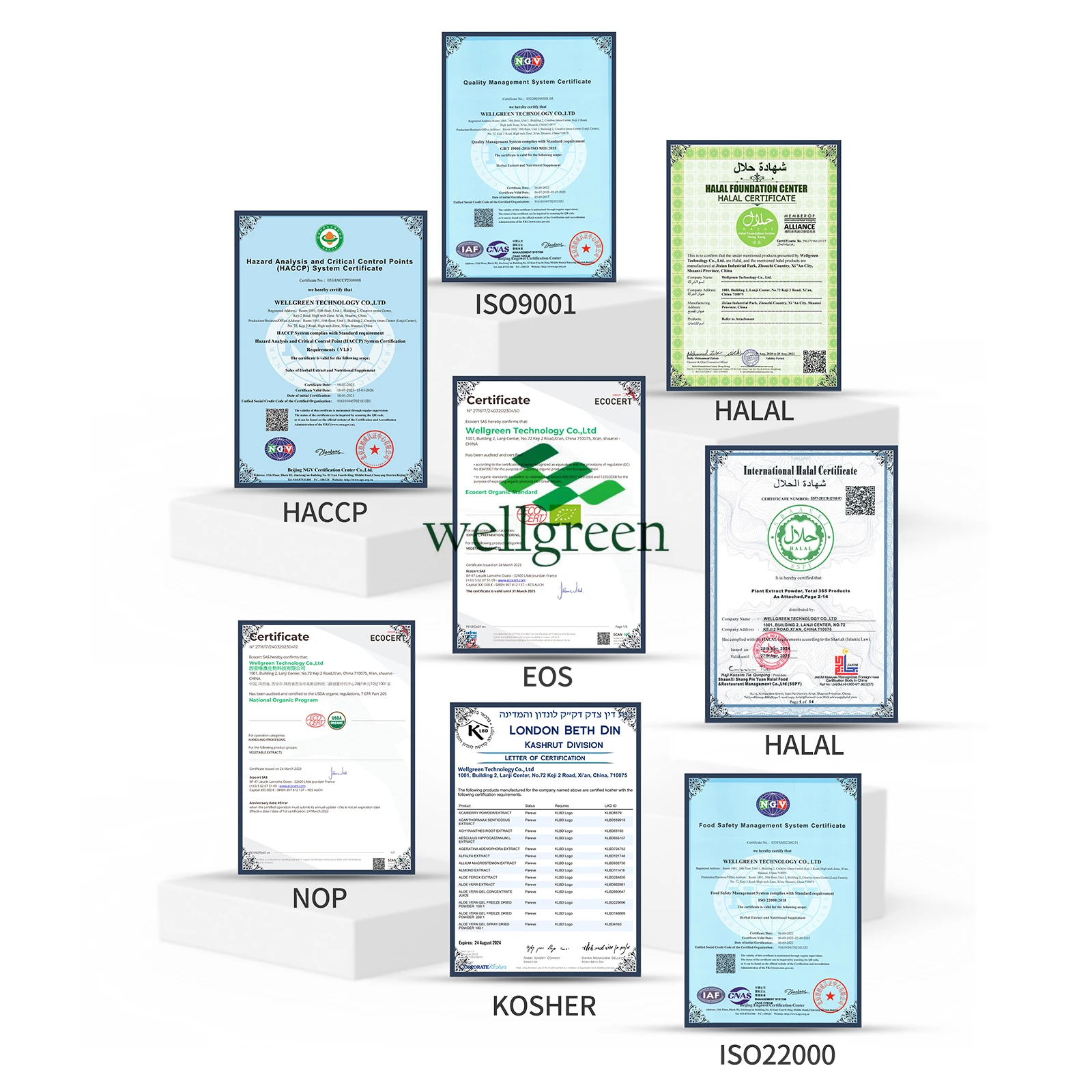 Wellgreen Factory Supply Natural 98% Chlorogenic Acid Flower Cas 327-97-9 Honeysuckle Extract Chlorogenic Acid