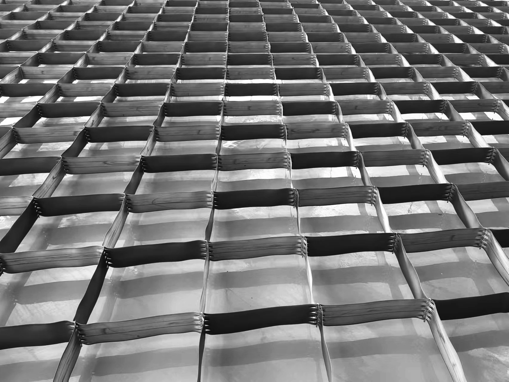 Hot selling 6cm high geocells for embankment--PP Materials