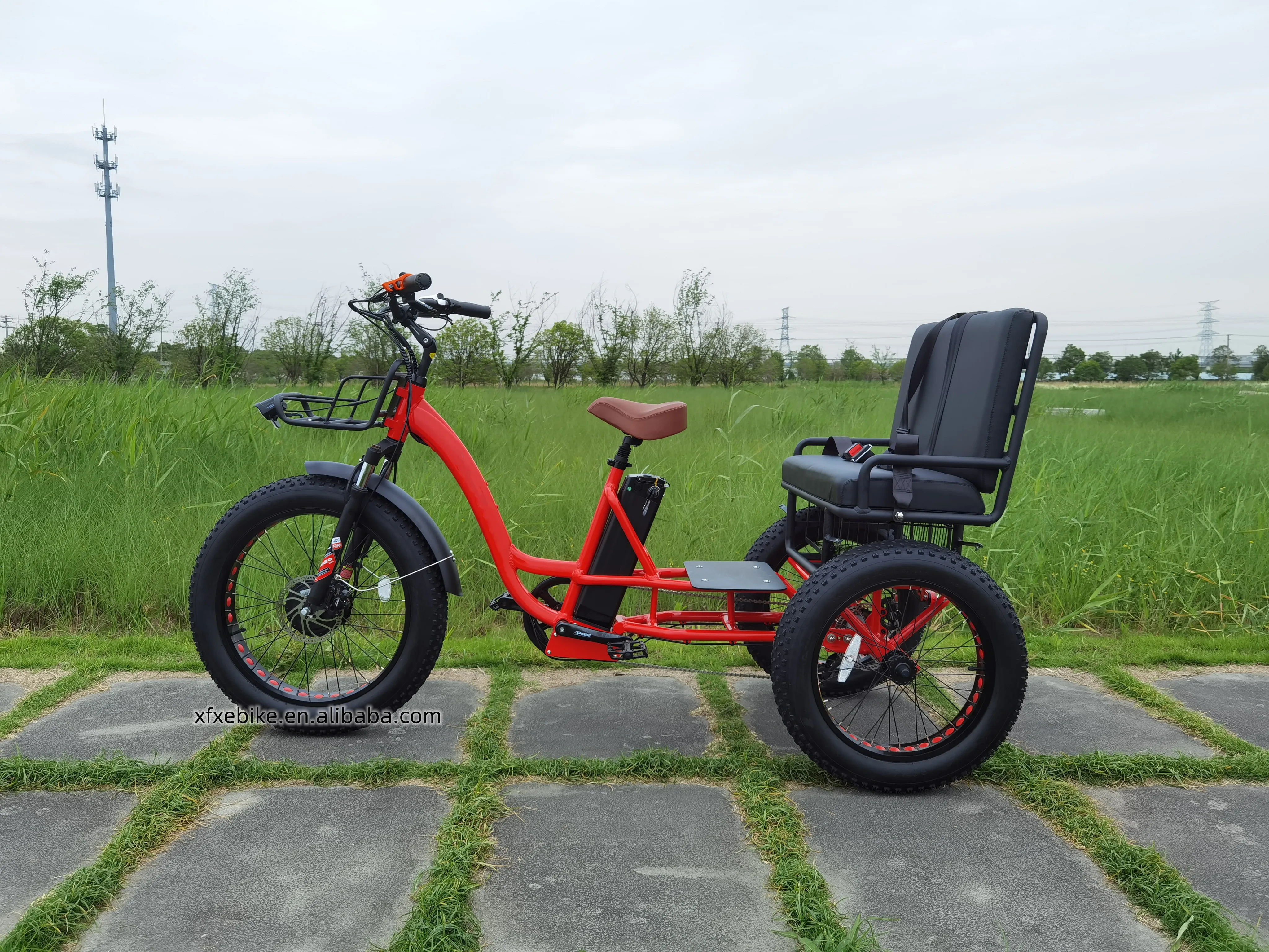 Large Capacity Tricycle 48V 19.2Ah Electric Cargo Bike 750W Rear Hub Motor 24Inch 3 Wheel Far Tire Trike electric tricycles