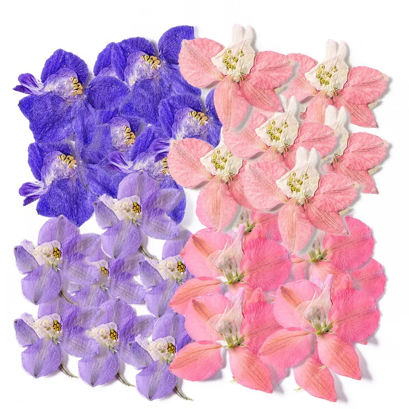 12pcs/bag Larkspur Single Petal DIY Candle Soap Making Natural Plant Eco-friendly Dried Pressed Flower