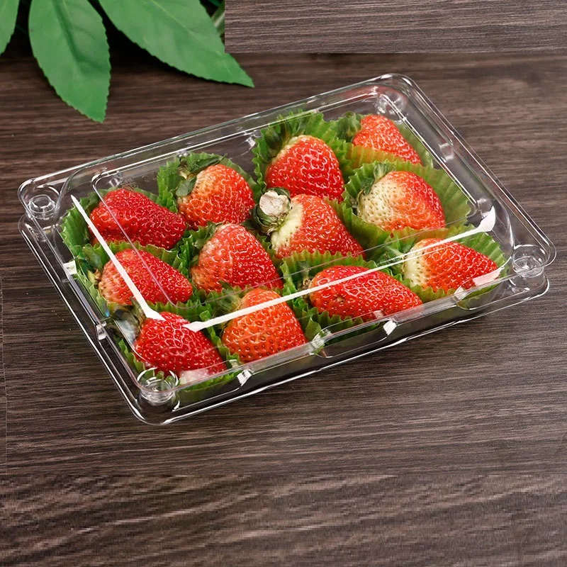 Disposable Clear Plastic PET Food Tray with 4 Compartments and Embossed Square Blister Lid for Cake Storage Fruit Box Packaging
