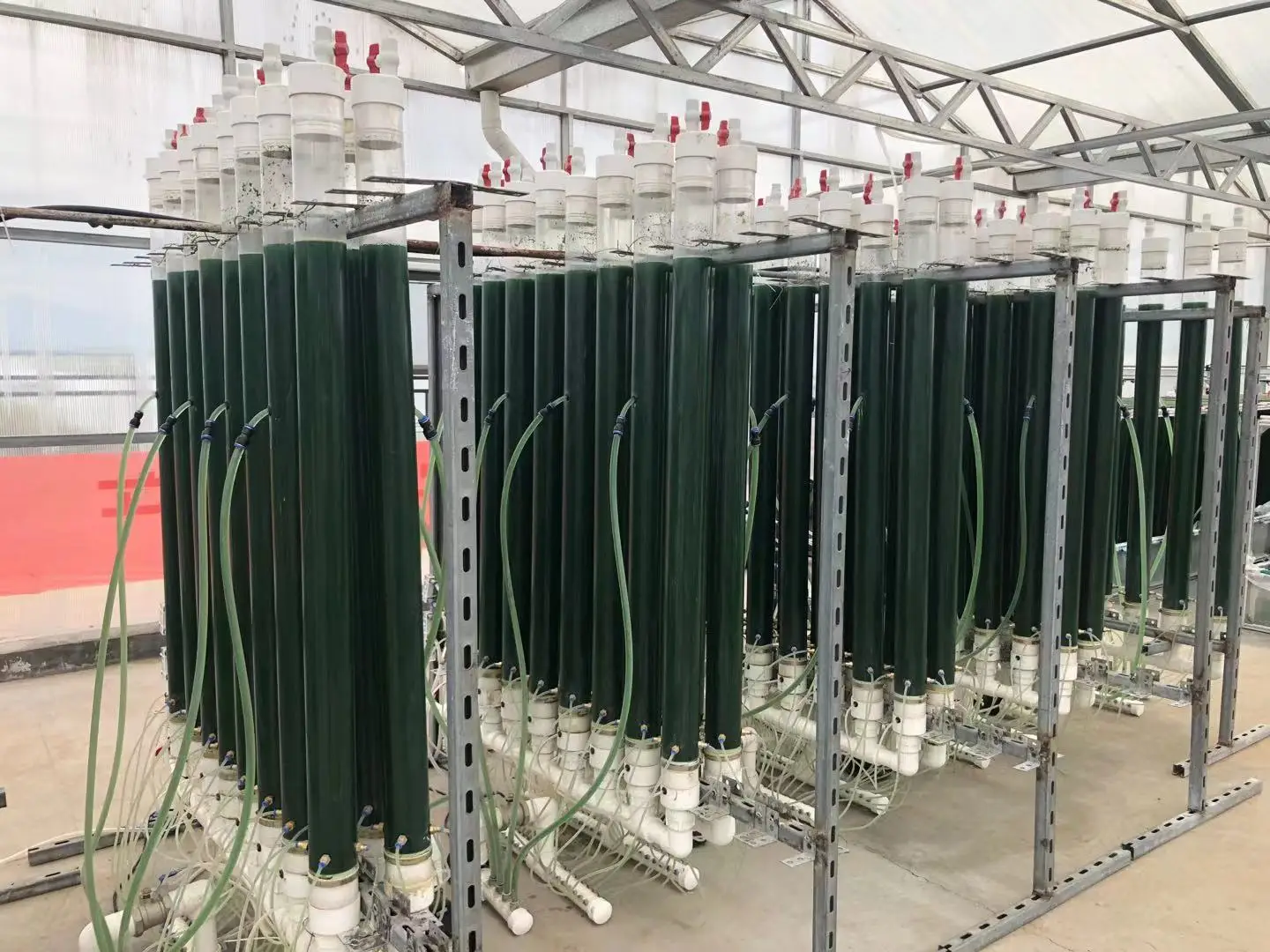 Hot selling Alga Spirulina Extract Healthcare Green Food Spirulina Powder For Cereal Making