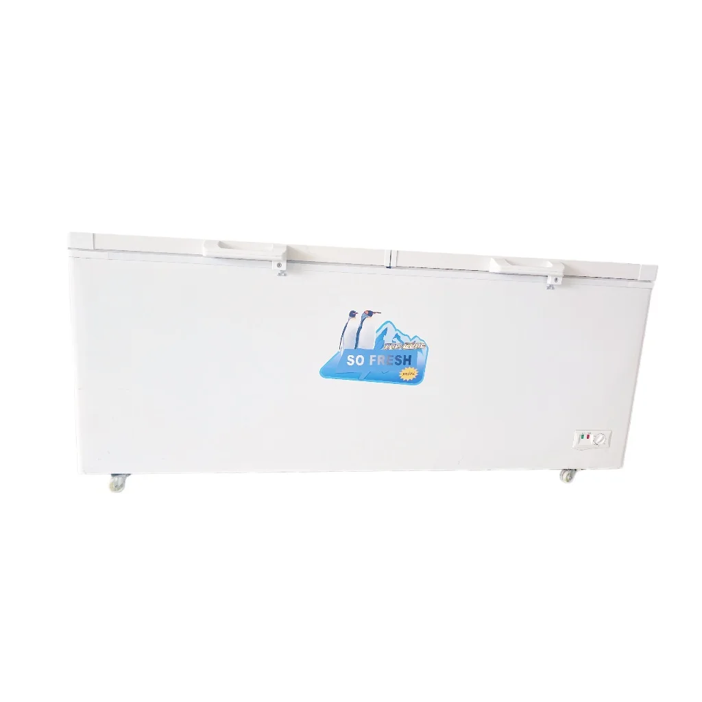 BD-788 freezer with handle and lock,big Capacity single double Door ocean freezer
