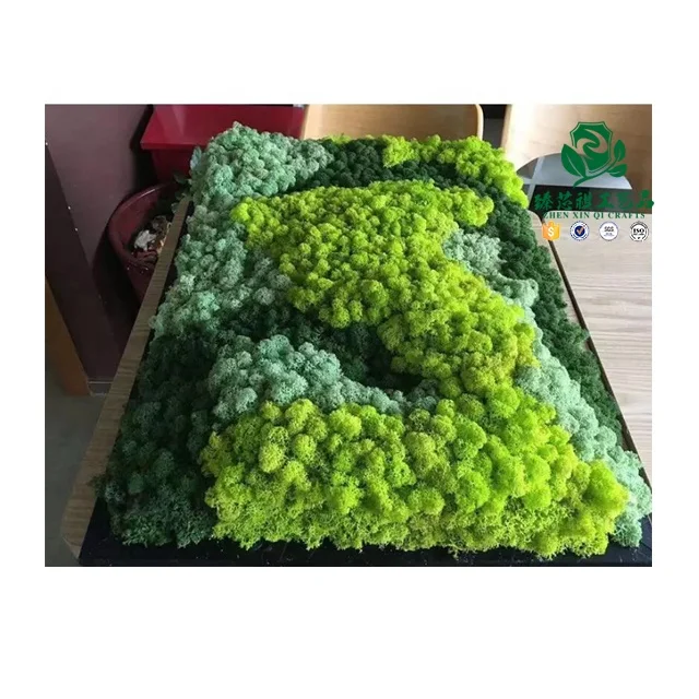 Zhen xin qi crafts   preserved forest moss decorative preserved artificial moss wall panel