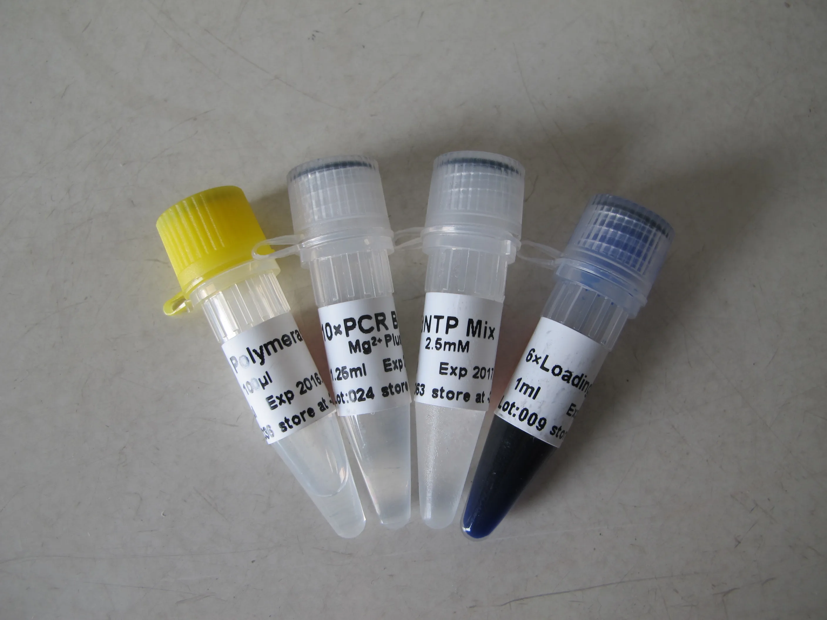 GDSBIO Taq DNA Polymerase PCR reagent 5U/Microliter 100000U P1017