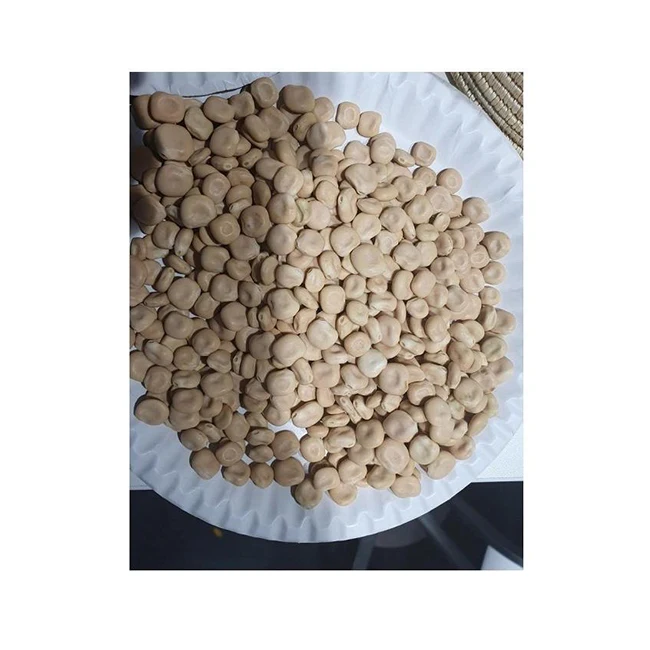 Good Natural Agricultural Premium Quality  And Hot Selling Ethiopia Lupin Beans For Wholesale