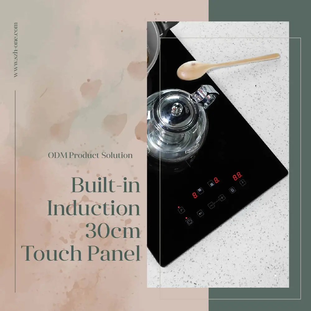 Home Appliances 2 Burner Built-in Induction Cooktop High power Induction Stove Factory