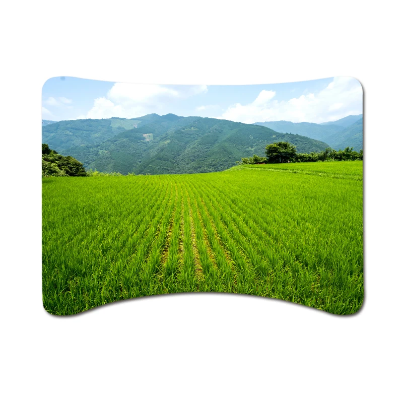 Exhibition Display Curved 8ft Stretch Tension Fabric Backdrop for Trade Show