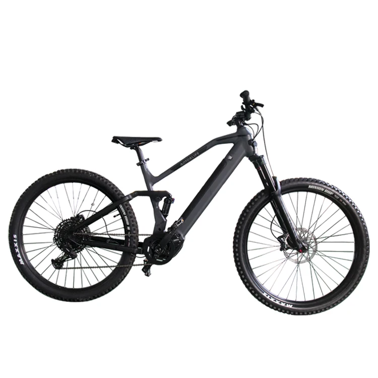 Прямая продажа с фабрики литиевый аккумулятор 48 в 14 Ач задний ступичный двигатель дисковый тормоз электровелосипед для мужчин