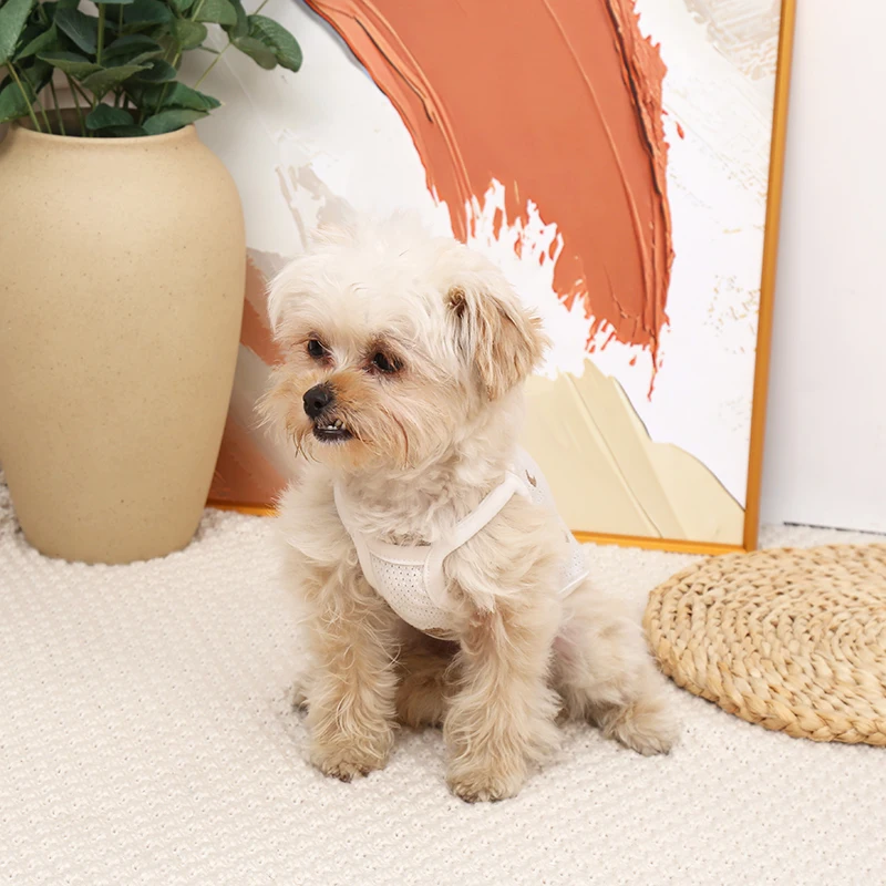 Wholesale Dog Clothes Summer Pet Vest Style Cute Dog Cooling Clothes For Small Medium-Sized Dogs