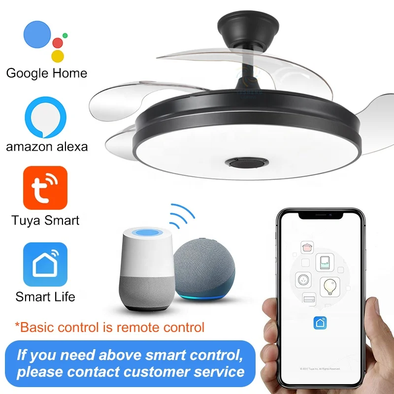 2030 110V 220V 42inch fan ceiling fan hidden blades with speaker