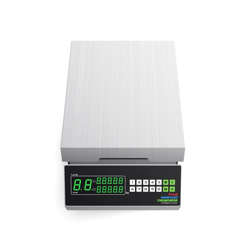 Portable Automatic Belt Conveyor Sea Food Fruit Weight Grading Scale Check Weigher Sorting Machine