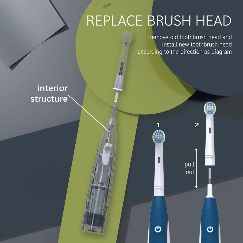 Factory Customized Compatible Oral Bristle Battery Rotate Dupont Nylon Soft Bristles Electric Tooth brush