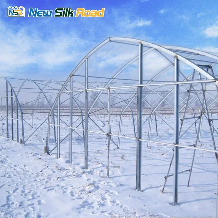 NSR Greenhouse PE Film Horticultural Single Span Greenhouse hoop house For Tomato