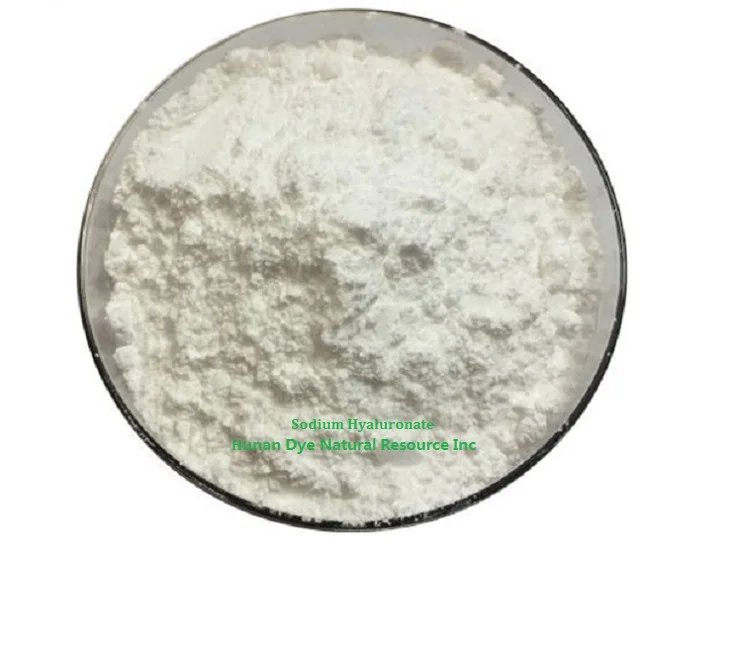 Food Grade Sodium Hyaluronate Powder Cas 9004-61-9 Sodium Hyaluronate Price
