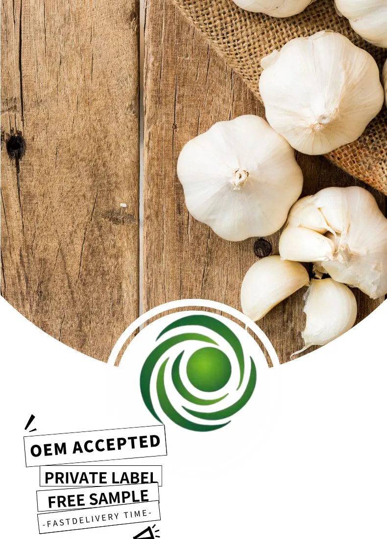 DongAo China Factory Directly Sell Roasted Garlic Powder for Food