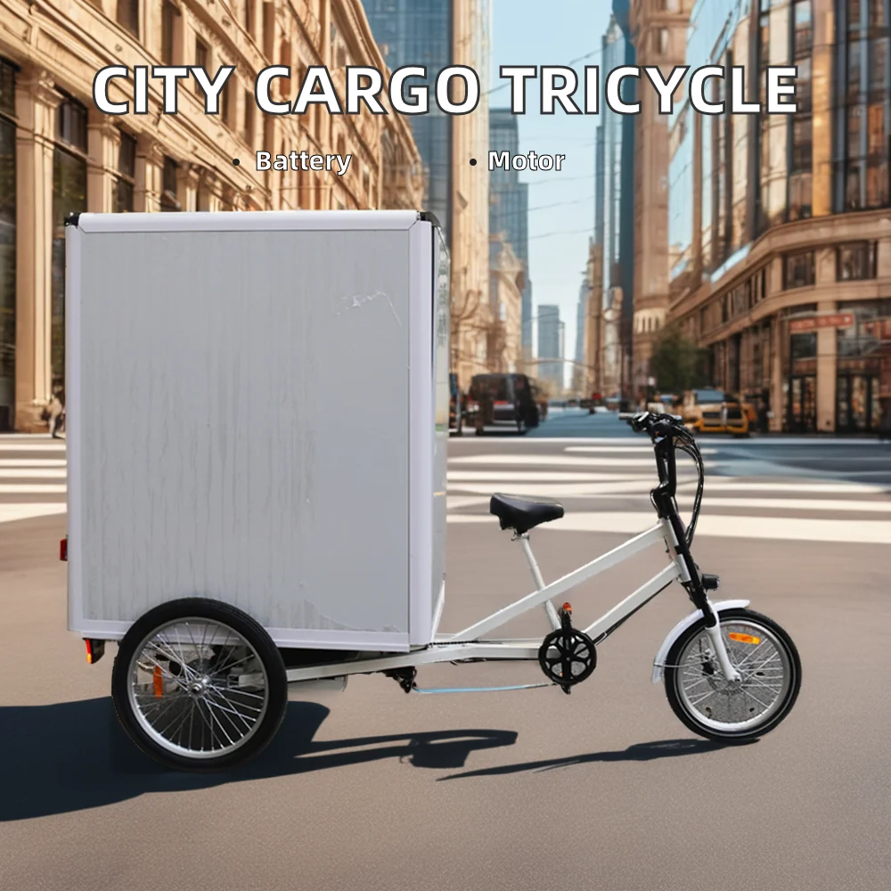 48V Electric Flatbed Trike for Passenger Transportation Electric Flatbed Cargo EBike with Open/Closed Body EEC Certified