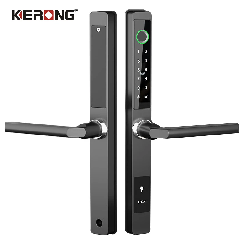 Sliding Smart Door App Waterproof Outdoor Password Intelligent Electronic Long Handle Lock